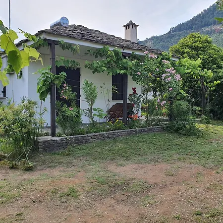 In Golden 克里斯阿穆迪亚