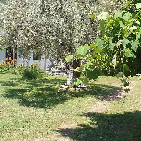 Διαμέρισμα In Golden 1 Χρυσή Αμμουδιά